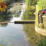 1109F 217 Quelle der Altenau